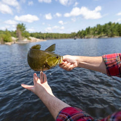 RIO Bass Leader in freshwater setups, versatile bass fishing scenarios.
