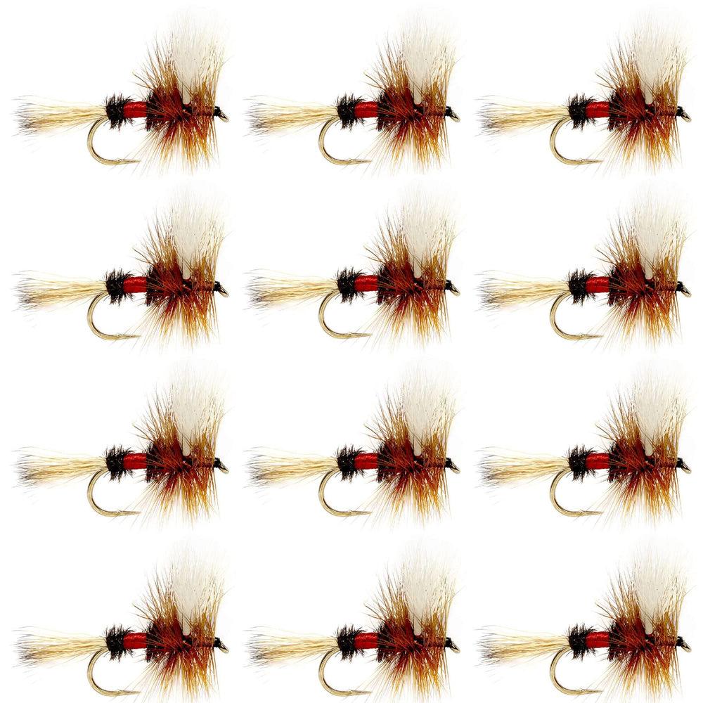 Royal Wulff Classic Trout Dry Fly pattern close-up