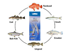 Sanhu Rock Cod Feather Rigs dispenser for quick setup.