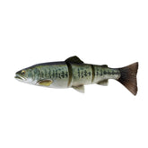 Savage Gear 3D Line Through Trout 12in front view shows lifelike profile for enticing strikes