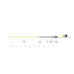 Scientific Anglers Sonar Titan Sink Tip Mini line setup for accurate streamer delivery in shallow water.