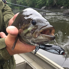 Knot strength of Seaguar Red Label fluorocarbon line under load testing.