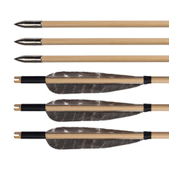 S F wooden arrow shaft crafted from wood offers reliable durability and classic aesthetics.