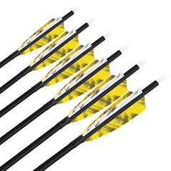 SHARROW 100 grain removable tip for quick field adjustments