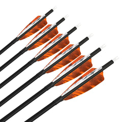 SHARROW carbon arrow 31inch with 4inch turkey feather delivers predictable flight.