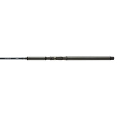 Shimano Beast Master Ex 4.2m 120g rod designed for salmon and steelhead techniques