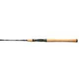 SHIMANO TERAMAR SE 66 MHST B blank close-up highlighting TC4 sensitivity