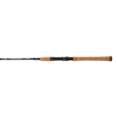 SHIMANO TERAMAR SE rod setup showing balanced inshore spinning rod design.
