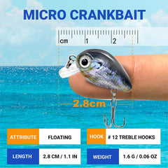 Close-up of lifelike coating and 3D eyes on a crankbait