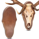 Sintuff deer mount plaque wooden panel ready for trophy display.