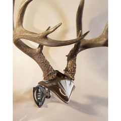 Skull Hooker Bone Bracket with Skull Cap in Graphite Black