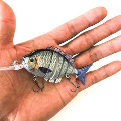 Soljer Sun Fish lure shows a 4-inch body for balanced casting and depth.