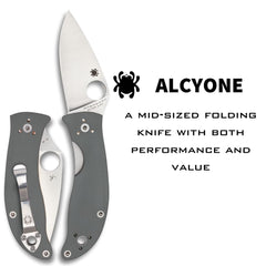 Spyderco Alcyone gray G-10 handle provides secure grip.