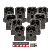 Stealth Cam Browtine 16MP mounted on a tree for reliable outdoor monitoring.
