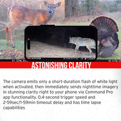 Stealth Cam Flashback 40MP rapid 0.4-second trigger in action.