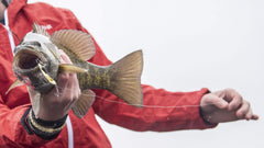 SteelShad Mini lipless crankbait on ice for quick jigging