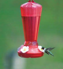 Stokes Select Hollyhock feeder shows four ports for multiple hummingbirds