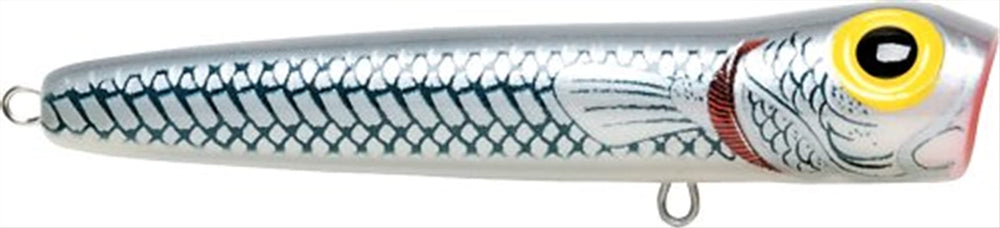 Storm Saltwater Chug Bug 11 Mullet lure profile designed for long casts and aggressive topwater action.