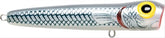 Storm Saltwater Chug Bug 11 Mullet lure profile designed for long casts and aggressive topwater action.
