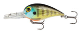 Storm Wiggle Wart MadFlash lure bluegill front view with holographic eyes for attracting strikes.