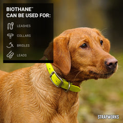 Strapworks hot-yellow color highlighting visibility for outdoor gear and straps.
