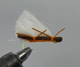 Strike Fly Company One Dozen Chubby Chernobyl salmonfly dry fly ready for trout fishing