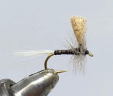 Strike Fly Quill Gordon Dun size 14 dry fly closeup showing lifelike profile and details