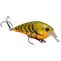 Strike King KVD Square Bill 1-5 Green Pumpkin Craw lure for shallow water strikes.