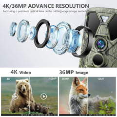 SuntekCam 4K 36MP imaging reveals fine wildlife details.
