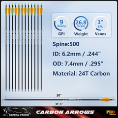 SUNYA archery arrows 12pcs packaging ready for immediate practice sessions