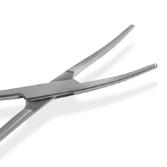 Close up of curved forceps jaws serrated