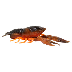 Close-up of Tackle HD Hi-Def Craw bait showing 3D scan detail and color realism.
