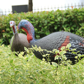 TargetEvo turkey decoys hen and Jake combo in lifelike pose for realistic lure.