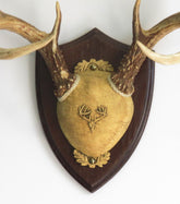 Taxidermists Woodshop TTW Ultimate Antler Mounting Kit dark oak shield plaque enhances display appeal