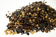 Tecomate Lablab Plus blend with lablab beans and cowpeas in field for high-protein forage.
