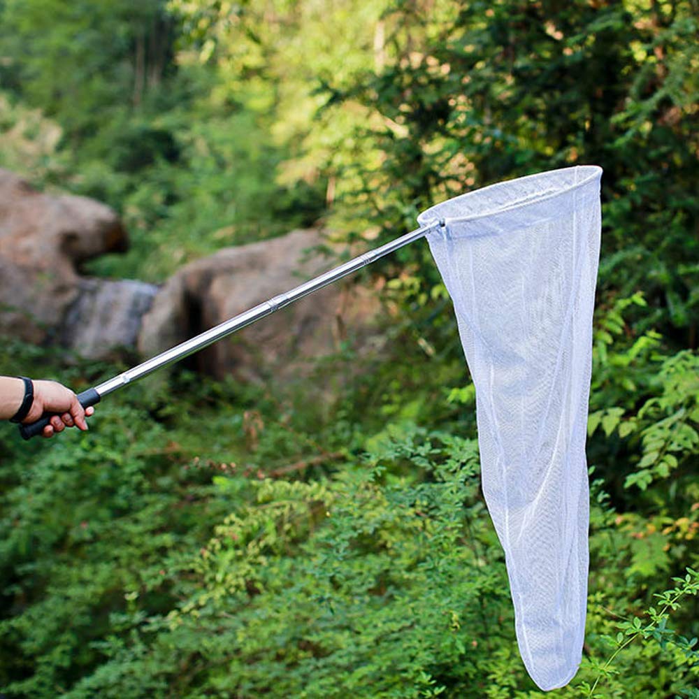Telescopic butterfly net extended to 59 inches for long reach