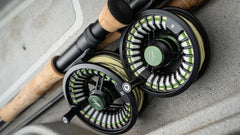 Temple Fork Outfitters Dispatch I Spare Spool one-way bearing sealed with an O-ring.