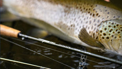 Temple Fork Outfitters Dispatch 4wt rod close-up of snake guides showing strength and durability