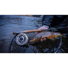 Temple Fork Outfitters Legacy rod showing up-locking reel seat for secure setup.