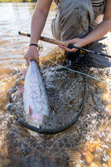 Temple Fork Outfitters P3 TH rod with composite cork and EVA accents for comfort.
