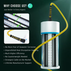Dual-voltage 110V/12V green LED fishing light attracting fish