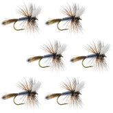 The Fly Fishing Place Adams Wulff dry fly set for trout with strong surface mayfly imitation