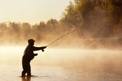 The Fly Fishing Place Adams dry fly demonstrates versatile surface feeding patterns.