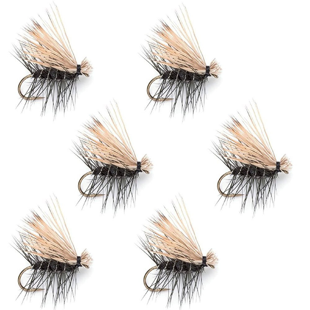 The Fly Fishing Place Black Elk Hair Caddis set of six size 12 dries for trout.