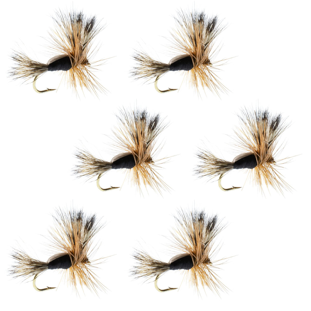 The Fly Fishing Place Black Humpy dry fly pack in front, ideal for trout in pocket-water.