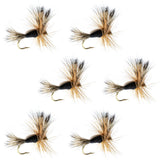 The Fly Fishing Place Black Humpy dry fly pack in front, ideal for trout in pocket-water.