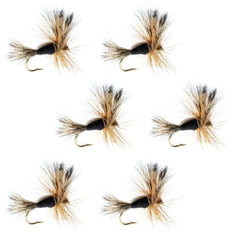 The Fly Fishing Place Black Humpy dry fly pack in front, ideal for trout in pocket-water.