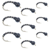 The Fly Fishing Place black zebra midge assortment pack for deep-water trout fishing.