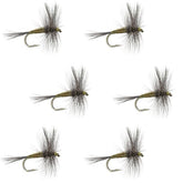 The Fly Fishing Place BWO classic dry fly set, size 20, ready for trout fishing.
