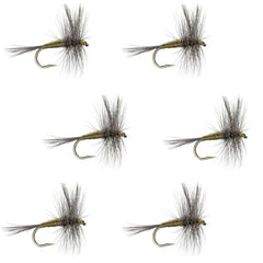 The Fly Fishing Place BWO dry fly set front view shows six sized 18 flies ready to fish